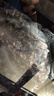 AC功能活石濾材麥飯石提高穩定ph值降低水族軟化火山石魚(yú)缸過(guò)濾材料 功能活石12L(含網(wǎng)袋) 曬單實(shí)拍圖