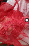 傾城鳥(niǎo) 情趣內衣女性感透視連體網(wǎng)衣蕾絲開(kāi)檔免脫制服誘惑純欲角色扮演SM漏乳捆綁帶夫妻房事用品 1078紅 曬單實(shí)拍圖