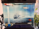 半紫半紅魚(yú)食錦鯉金魚(yú)小型魚(yú)專用飼料上浮型顆粒魚(yú)食料觀賞魚(yú)草金通用魚(yú)糧 三色混合中顆粒2600ml/2.5-3.5mm 曬單實(shí)拍圖