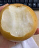 順豐正宗秋月梨新鮮梨子10斤當季現(xiàn)摘萊陽冰糖梨雪梨蜜梨水果包郵 3斤特大果【單果250g+】 曬單實拍圖