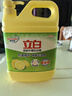 立白檸檬洗潔精1kg桶果蔬清洗快速去油洗A類食品用洗滌劑洗碗液洗滌靈 曬單實拍圖