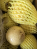 黃金百香果欽蜜9號(hào)新鮮當(dāng)季現(xiàn)摘精選好果水果百香果鮮果酸甜可口 欽蜜9號(hào)黃金百香果40~60g中果1斤 曬單實(shí)拍圖