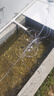 海利魚(yú)池增氧機 賣(mài)魚(yú)增氧器 海鮮缸養魚(yú)氧氣機 大功率打氧機 大氣量 25W ACO-208氣泵[]45L/min 曬單實(shí)拍圖