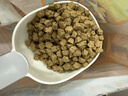 珞特思LOTUS蓮花狗糧鴨肉甜薯成犬幼犬全階段通用進(jìn)口烘焙犬糧 鴨肉甜薯小顆粒4磅[到26年5月] 曬單實(shí)拍圖