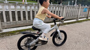 邁多米邁多米兒童自行車3到6到12歲專用學(xué)生山地男女孩寶寶新款腳踏單車 【巡航家 極光銀16寸】 曬單實(shí)拍圖