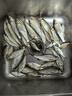 劉志強(qiáng)魚餌全能果浪復(fù)合果味魚餌高溫開口野釣鯽魚鯉魚鳊魚通殺餌料 全能果浪5包+全能果米5包 曬單實(shí)拍圖