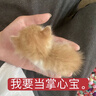 普陀山黑曜石吊墜本命佛吊墜本命佛護(hù)身符項(xiàng)鏈七夕禮物男 曬單實(shí)拍圖