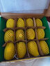 佳沛（zespri）新西蘭 陽光金奇異果12粒禮盒特大果單果約122-146g 獼猴桃 水果 曬單實拍圖