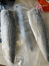美加佳挪威青花魚片凈重2斤（8-10片）鯖魚片 獨(dú)立包裝 去頭去尾去臟 曬單實(shí)拍圖