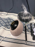 海雀800萬攝像頭家庭用監(jiān)控器360度無死角帶夜視全景語音通話一呼即應室內(nèi)嬰兒寶寶看護雀蛋Max [4K版]智能聲控通話 內(nèi)置64G【隱私加密】 曬單實拍圖