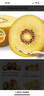 佳沛（zespri）新西蘭 陽光金奇異果12粒禮盒特大果單果約122-146g 獼猴桃 水果 曬單實拍圖
