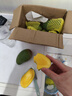 庾豐 海南金煌芒果 新鮮水果整箱 熱帶青皮芒 當季孕婦 生鮮 5斤裝（凈果4.5斤）單果150g+ 曬單實(shí)拍圖