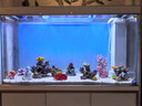 森森（SUNSUN）大型魚(yú)缸底過(guò)濾水族箱客廳家用落地玻璃生態(tài)金魚(yú)缸 【實(shí)時(shí)溫顯+燈控】珍珠白 1.2米長(zhǎng)35cm寬 曬單實(shí)拍圖