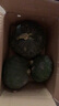 京營正宗沙漠板栗南瓜粉糯新鮮蔬菜當(dāng)季農(nóng)家甜貝貝食小南瓜寶嬰兒輔 10斤 （3-6個左右） 曬單實(shí)拍圖