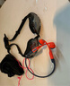 韶音（SHOKZ）OpenSwim Pro S710 骨傳導(dǎo)藍(lán)牙耳機(jī) 開放式運動游泳跑步騎行不入耳 珊瑚海 曬單實拍圖