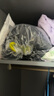 坦博爾高充絨量小個子連帽羽絨服女中長款加厚保暖冬天外套TBF530780J 黑色 M (165) 曬單實拍圖