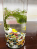 微景觀生態(tài)瓶生態(tài)瓶觀賞小魚diy微景觀免換水造景材料活動禮物水 科學簡約款 曬單實拍圖