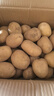 京覓 黃皮土豆 凈重9斤單果100g起 沙土地洋芋馬鈴薯新鮮蔬菜源頭直發(fā) 曬單實拍圖