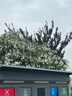 美的（Midea）【暴風(fēng)循環(huán)】空氣循環(huán)扇大風(fēng)量搖頭電風(fēng)扇家用臺式落地扇輕音臥室節能小風(fēng)扇柔風(fēng)輕羽扇 FGA24TQ 曬單實(shí)拍圖
