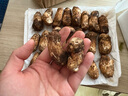 京鮮生 香格里拉新鮮松茸1斤 云南未開傘5-7cm鮮菌菇禮盒 源頭直發(fā)包郵 曬單實(shí)拍圖