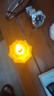 梓嘉福蠟燭燈電子蓮花燈家用佛供燈佛前供燈led長(zhǎng)明燈佛堂供奉蠟燭燈觀 黃色蓮 花款 一個(gè)裝 曬單實(shí)拍圖