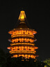 蘇泊爾（SUPOR）電水壺 雙層防燙燒水壺熱水壺1.7L 全鋼無縫內(nèi)膽304不銹鋼電熱水壺大容量 SW-17J418 曬單實拍圖