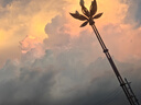 戶外風(fēng)扇馬燈太陽能帳篷野營燈多功能可充電露營燈手提工作應(yīng)急燈 銀色風(fēng)扇馬燈+輸出 巨亮（USB充電+輸出+風(fēng)扇+太陽能 曬單實拍圖