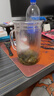 雅集耐熱透明大容量男女辦公家用玻璃杯豪飲杯牛奶杯1000ml帶刻度款杯 曬單實(shí)拍圖