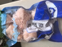 【順豐】肚包肉羊肉腸清真正宗手工制作羊肚包肉羊肉灌腸新鮮羊肉 肚包肉2斤 曬單實(shí)拍圖
