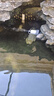 YEE魚缸抽水泵35w潛水過濾循環(huán)水泵低音魚池小型低底吸魚糞換水器 曬單實(shí)拍圖