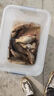 小鳳仙全水域浮漂野釣全套套裝綜合防爆頂炫彩醒目漆身鰱鳙鯽魚鯉魚漂 3支裝-淺水鯽魚套裝 曬單實(shí)拍圖