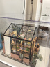 若來diy小屋凱西花房防塵罩套裝積木玩具兒童畢業(yè)生日禮物女孩 曬單實拍圖