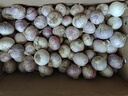 味小仙紫皮獨(dú)頭蒜干蒜 2025新蒜 獨(dú)頭大蒜頭蔬菜 大號(hào)(3.0cm以上)干蒜 5斤 曬單實(shí)拍圖