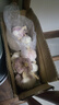 新干蒜5斤大蒜頭種籽干大蒜種子河南批發(fā)新鮮蔬菜2/3/10斤紫皮蒜 2500g 大果 曬單實(shí)拍圖