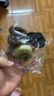 兒童發(fā)飾加粗加厚毛巾圈彩色無(wú)接縫發(fā)圈馬尾頭繩發(fā)繩不傷發(fā)爆米花 高彈力毛巾圈【10個(gè)裝】混色 曬單實(shí)拍圖