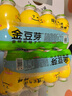 金豆芽兒童金銀花柚子汁155ml*16瓶禮盒夏天孩子飲料寶寶零食果汁西柚汁 曬單實拍圖