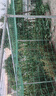 界圖鐵絲網(wǎng)養殖圍欄荷蘭網(wǎng)防護網(wǎng)養雞網(wǎng)護欄圈山地隔離硬塑鋼絲網(wǎng)柵欄 2.3毫米×30米6厘米孔 1.2米高 曬單實(shí)拍圖