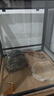 REPTIZOO陸龜飼養箱爬寵缸鬃獅變色龍蜥蜴守宮玻璃爬缸爬蟲(chóng)箱【RK飼養缸】 45*45*45CM【RK0105S】 曬單實(shí)拍圖