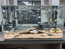 YEE魚(yú)缸金晶超白金魚(yú)裸缸8060家用客廳桌面小草缸龜缸玻璃生態(tài)溪流缸 【送上樓】60*30*35*6mm裸缸【推薦】 曬單實(shí)拍圖
