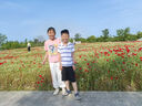G.DUCKKIDS女童短袖套裝夏裝2025新款t恤半袖上衣中大童女裝夏季女孩兒童裝 粉色套裝 【T恤+褲子】 150 cm 曬單實拍圖