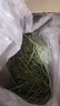 牛寵（niuchong）25年新草進(jìn)口提摩西草兔子磨牙苜蓿草兔兔曬干烘干牧草燕麥草糧食 高原烘干提 整草 多穗500g 兔子牧草 曬單實(shí)拍圖