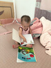 波西和皮普繪本經(jīng)典套裝（套裝共7冊）0-4歲低幼啟蒙情緒管理繪本，在熟悉的生活場景中培養(yǎng)寶寶好性格省錢卡暑假作業(yè) 一升二暑假銜接 小升初暑假銜接 曬單實(shí)拍圖