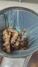 黃六爺洋姜鬼子姜10斤野新鮮現(xiàn)蔬菜生菊芋胰島果洋姜農(nóng)家自種挖醬腌泡菜 【精選新鮮白洋姜】9斤 曬單實拍圖
