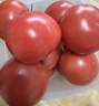 【超市專供】正宗普羅旺斯西紅柿可生吃的水果西紅柿生鮮新鮮 可生吃的水果西紅柿凈重 2斤 曬單實拍圖