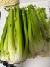 京鮮生山東榨汁大西芹新鮮蔬菜凈重9斤單顆800g+源頭直發(fā)包郵 曬單實拍圖