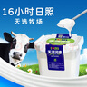 天潤(rùn)（TERUN）新疆酸奶 潤(rùn)康方桶 低溫酸奶酸牛奶老酸奶 大桶酸奶 1kg*1桶 曬單實(shí)拍圖