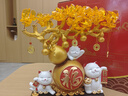 慧選禮（HUI XUAN LI）招財貓發(fā)財樹擺件辦公室客廳前臺裝飾送朋友店鋪公司喬遷開業(yè)禮物 曬單實拍圖