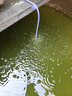 松寶松寶SOBO氧氣泵低音魚(yú)缸增氧泵氣量大養魚(yú)增氧機魚(yú)池家用220v電壓 【雙孔】不銹鋼雙孔8瓦+全套氣餅套餐 曬單實(shí)拍圖