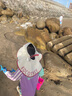 kocotreekk樹兒童防曬帽防紫外線寶寶遮陽帽夏季男童女童太陽帽沙灘大帽檐 曬單實拍圖
