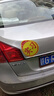 實習(xí)車貼磁吸新手上路車貼紙車用女司機實習(xí)牌反光汽車實刁車標(biāo)志 磁吸式實習(xí)車貼-16*19cm 曬單實拍圖